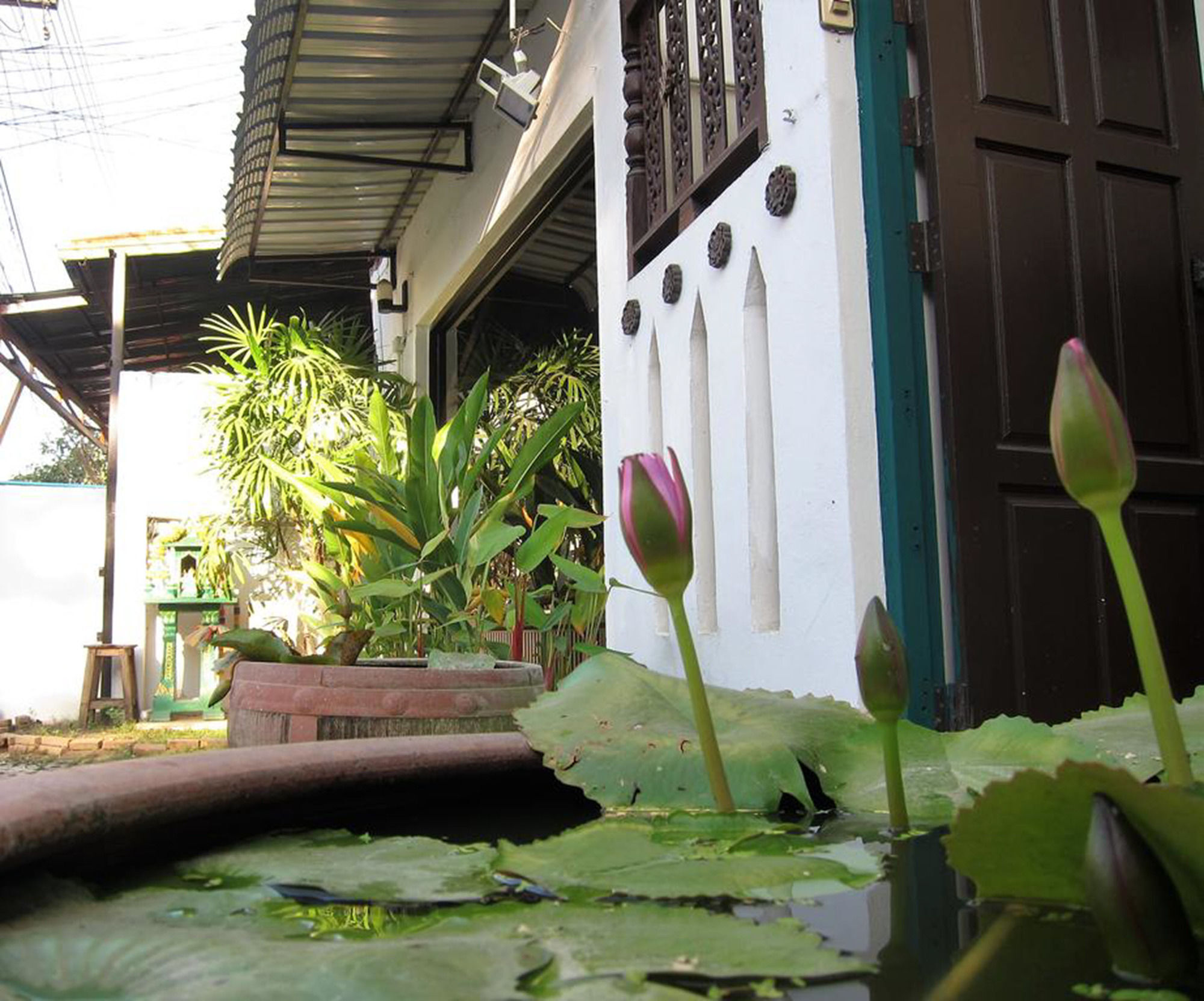 V Lodge Chiang Mai Luaran gambar